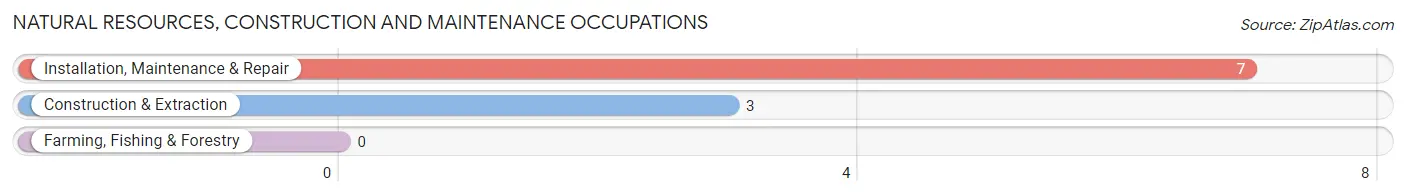 Natural Resources, Construction and Maintenance Occupations in Zip Code 24868