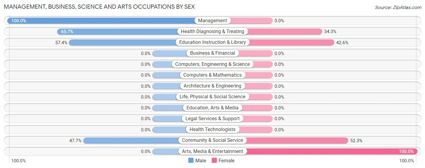 Management, Business, Science and Arts Occupations by Sex in Zip Code 24870