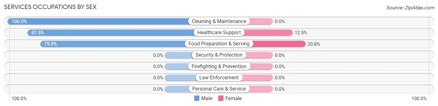 Services Occupations by Sex in Zip Code 24870