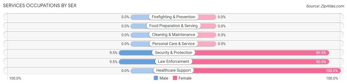Services Occupations by Sex in Zip Code 24871