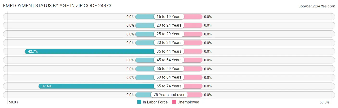 Employment Status by Age in Zip Code 24873