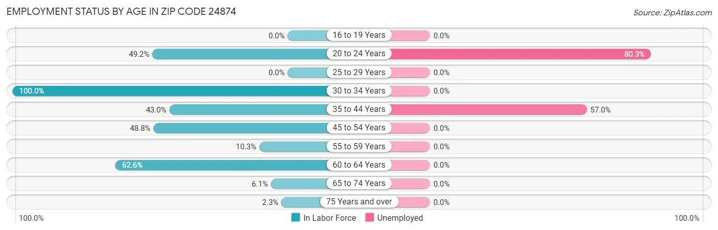 Employment Status by Age in Zip Code 24874
