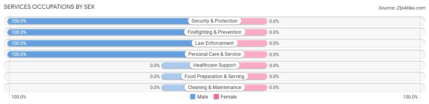 Services Occupations by Sex in Zip Code 24874