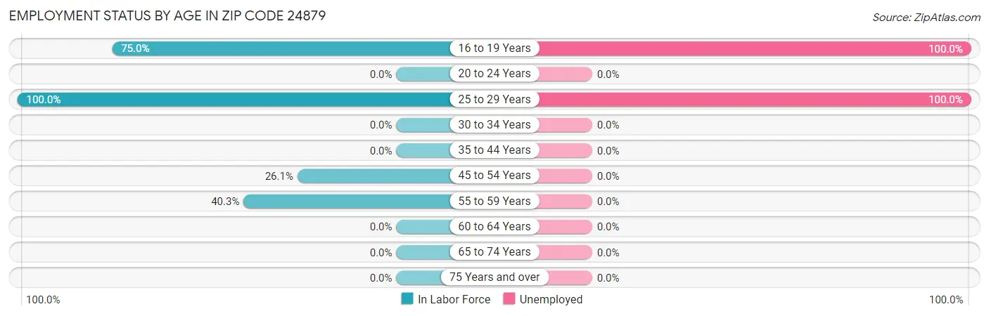 Employment Status by Age in Zip Code 24879