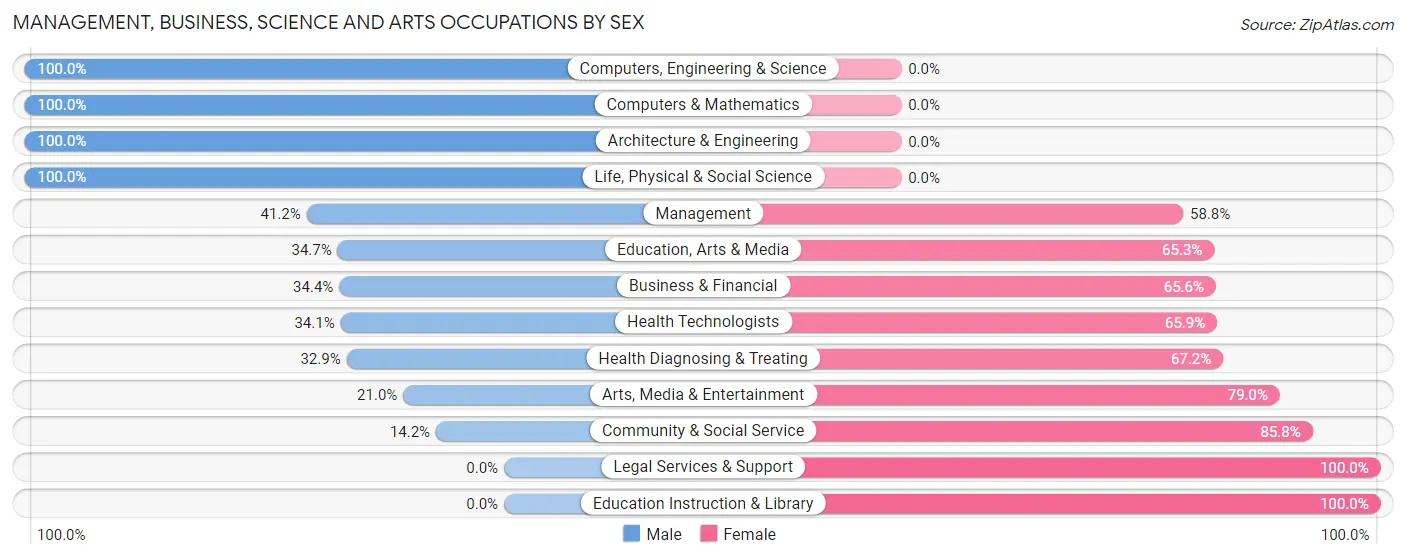 Management, Business, Science and Arts Occupations by Sex in Zip Code 24901