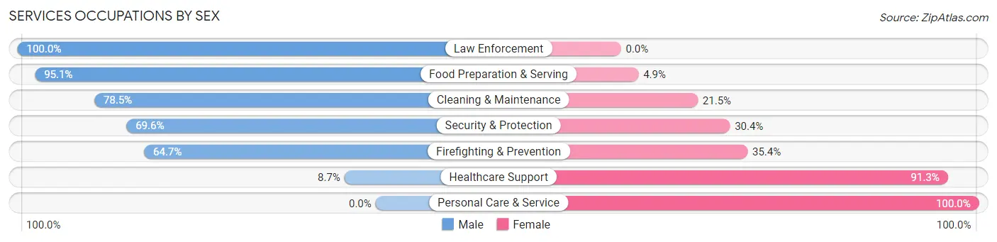 Services Occupations by Sex in Zip Code 24901
