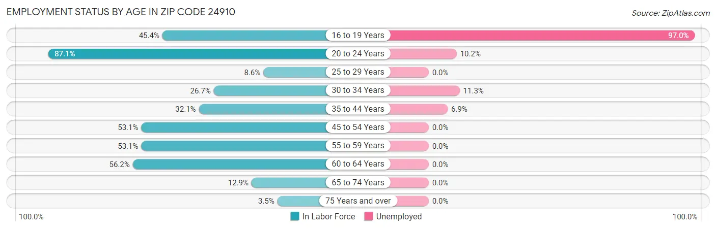 Employment Status by Age in Zip Code 24910