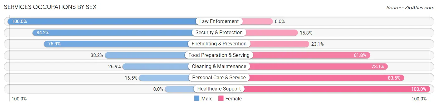 Services Occupations by Sex in Zip Code 24910