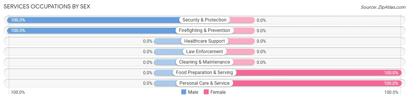 Services Occupations by Sex in Zip Code 24916