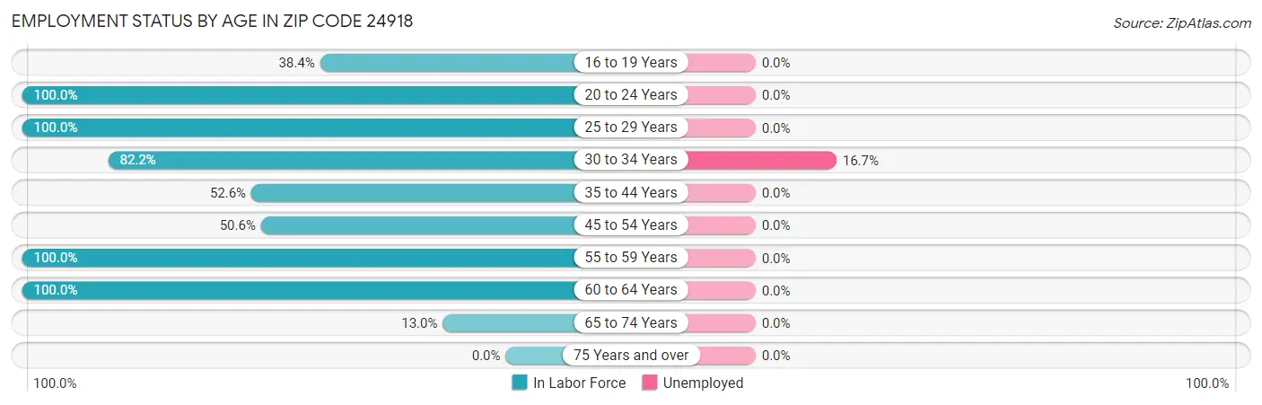 Employment Status by Age in Zip Code 24918