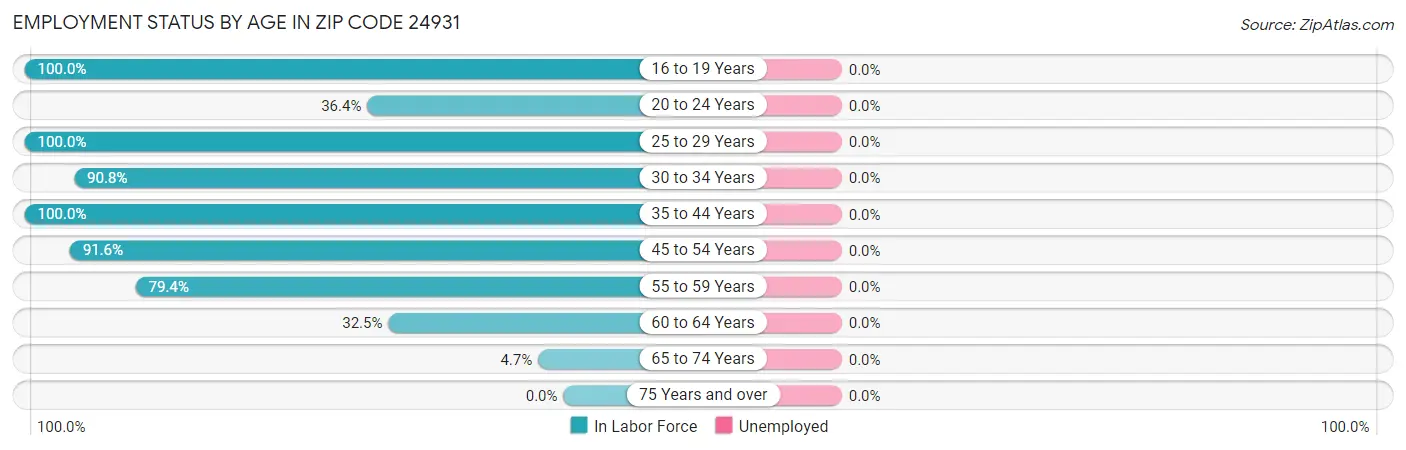 Employment Status by Age in Zip Code 24931
