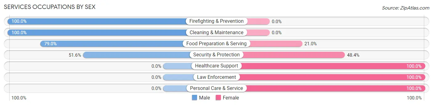 Services Occupations by Sex in Zip Code 24931