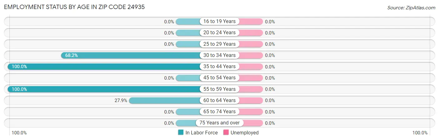 Employment Status by Age in Zip Code 24935