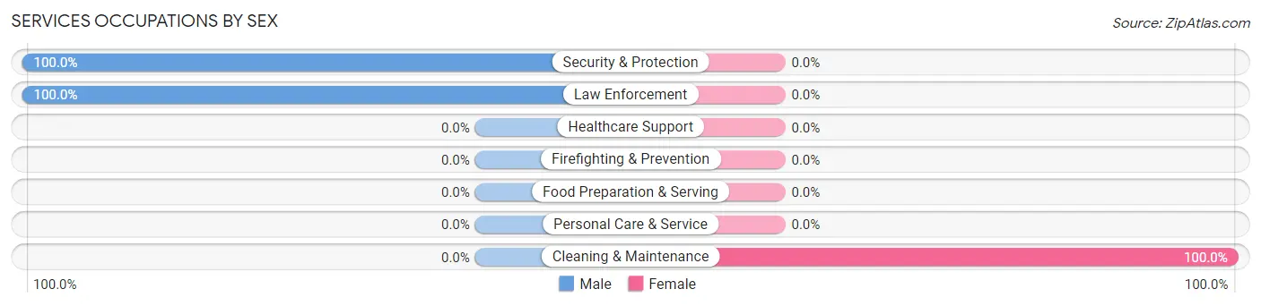Services Occupations by Sex in Zip Code 24944