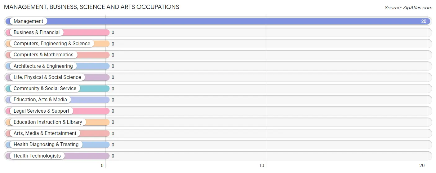 Management, Business, Science and Arts Occupations in Zip Code 24945