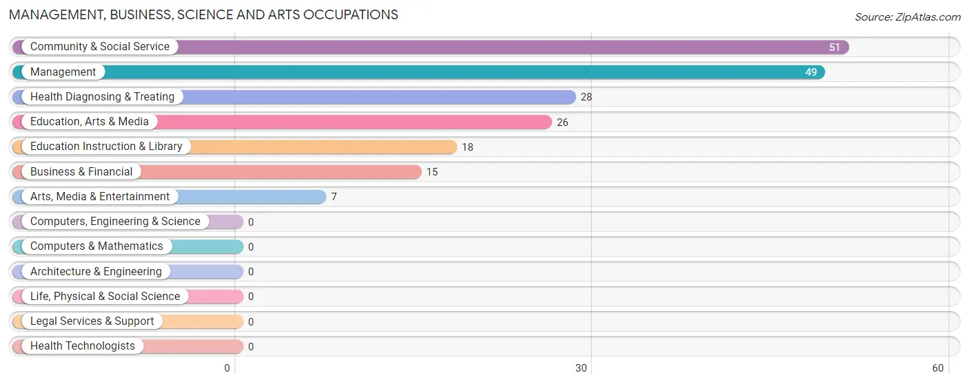 Management, Business, Science and Arts Occupations in Zip Code 24946