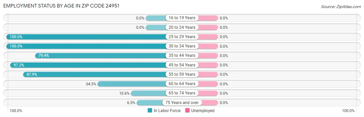 Employment Status by Age in Zip Code 24951