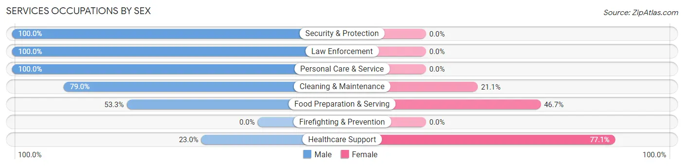 Services Occupations by Sex in Zip Code 24954