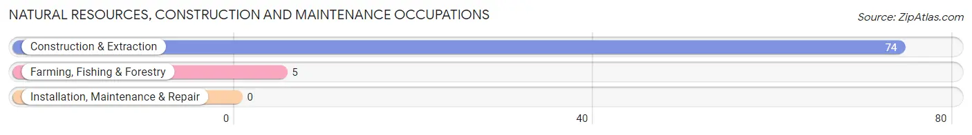 Natural Resources, Construction and Maintenance Occupations in Zip Code 24966