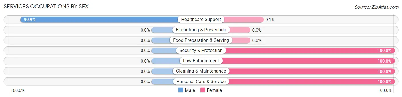 Services Occupations by Sex in Zip Code 24966