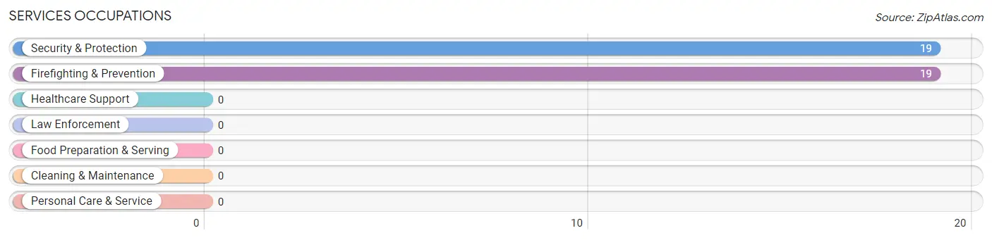 Services Occupations in Zip Code 24974