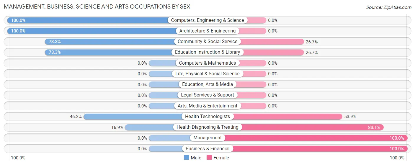 Management, Business, Science and Arts Occupations by Sex in Zip Code 24983