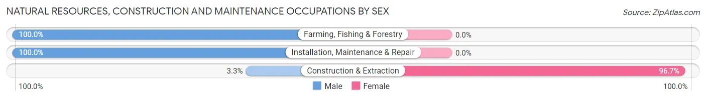 Natural Resources, Construction and Maintenance Occupations by Sex in Zip Code 24983