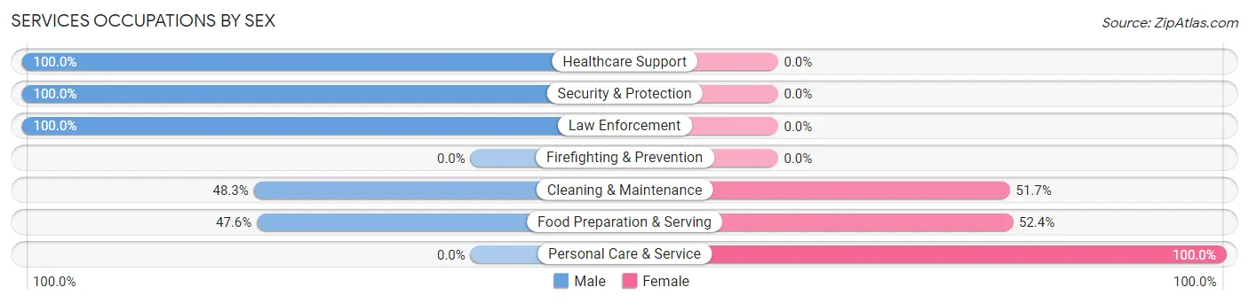 Services Occupations by Sex in Zip Code 24983