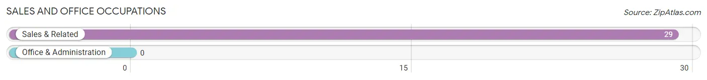 Sales and Office Occupations in Zip Code 24984