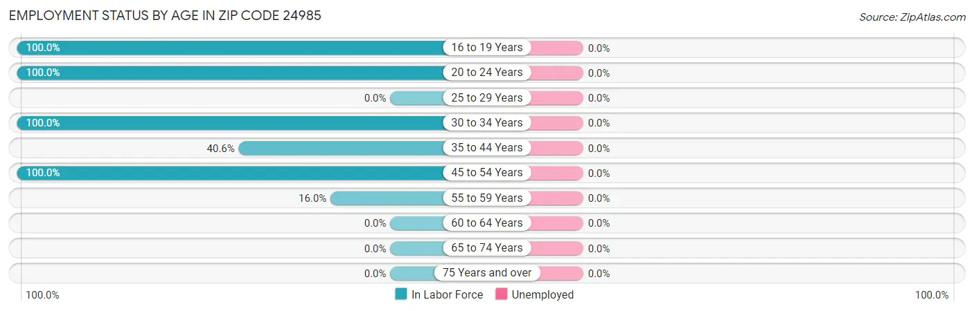 Employment Status by Age in Zip Code 24985