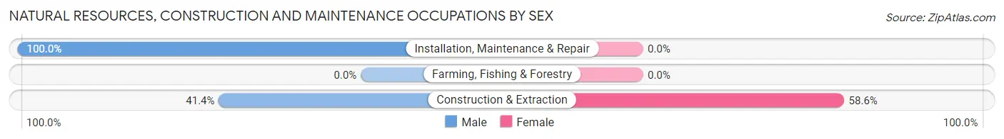 Natural Resources, Construction and Maintenance Occupations by Sex in Zip Code 24985