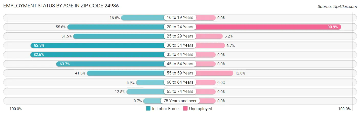 Employment Status by Age in Zip Code 24986