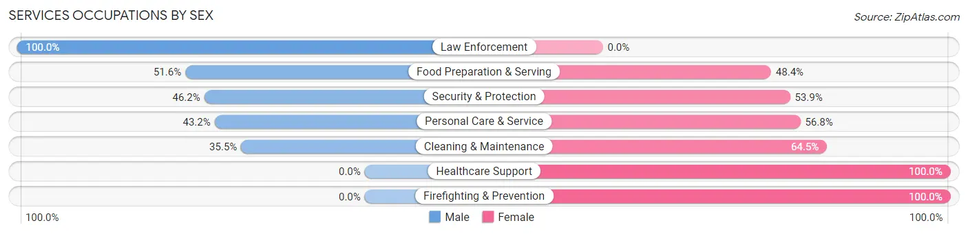 Services Occupations by Sex in Zip Code 24986