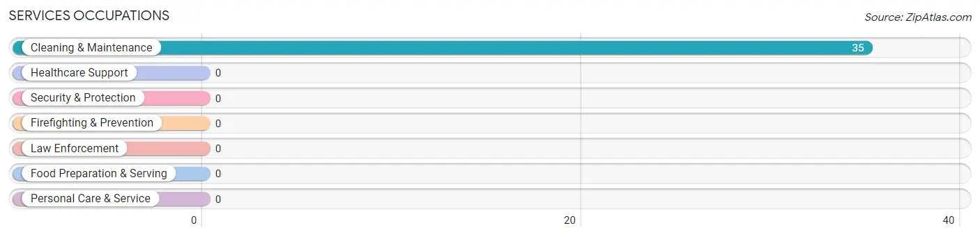 Services Occupations in Zip Code 24991