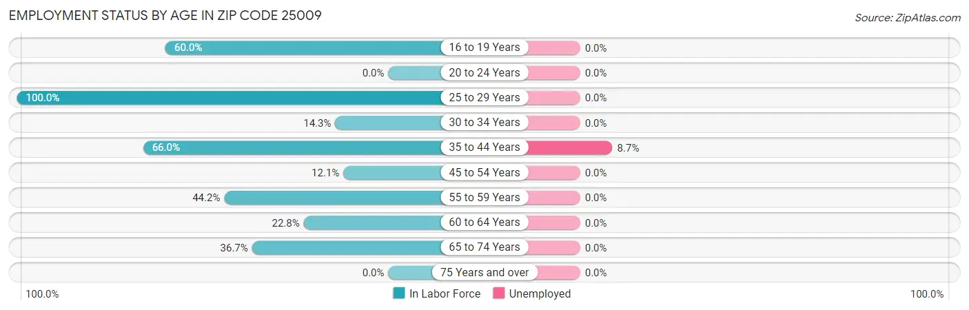 Employment Status by Age in Zip Code 25009