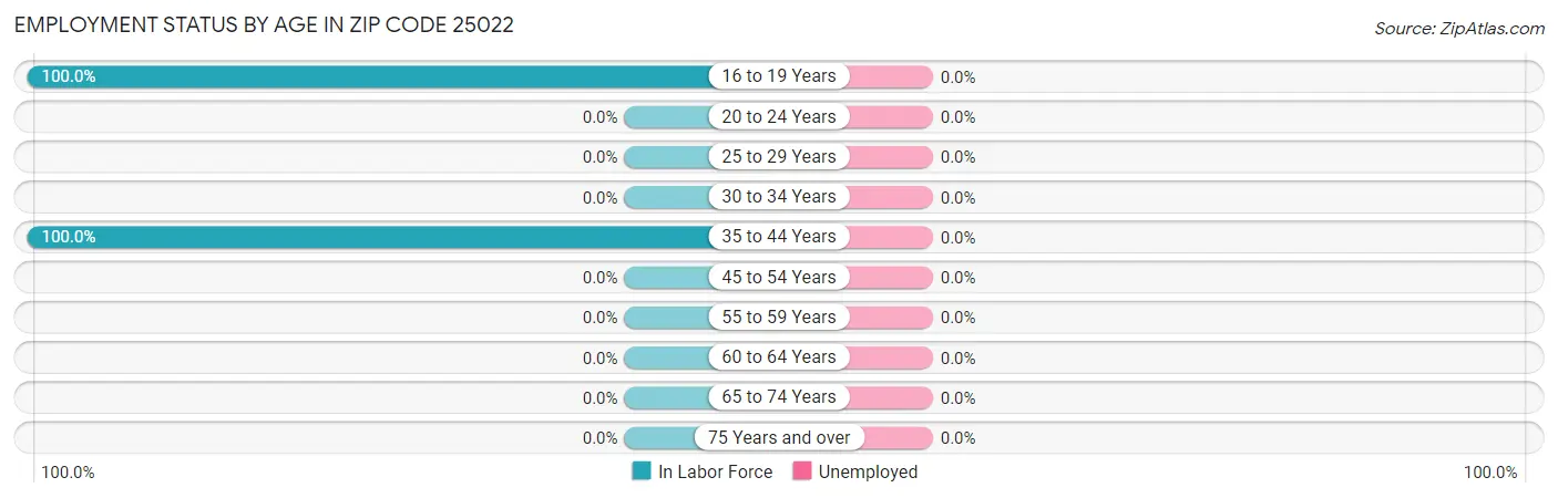 Employment Status by Age in Zip Code 25022