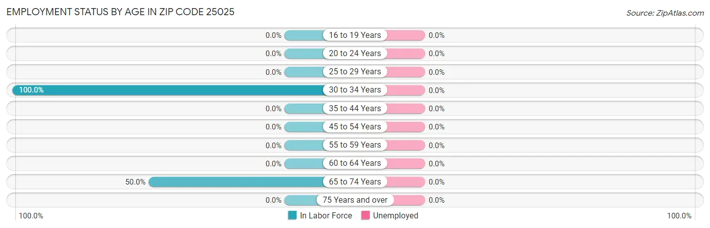 Employment Status by Age in Zip Code 25025
