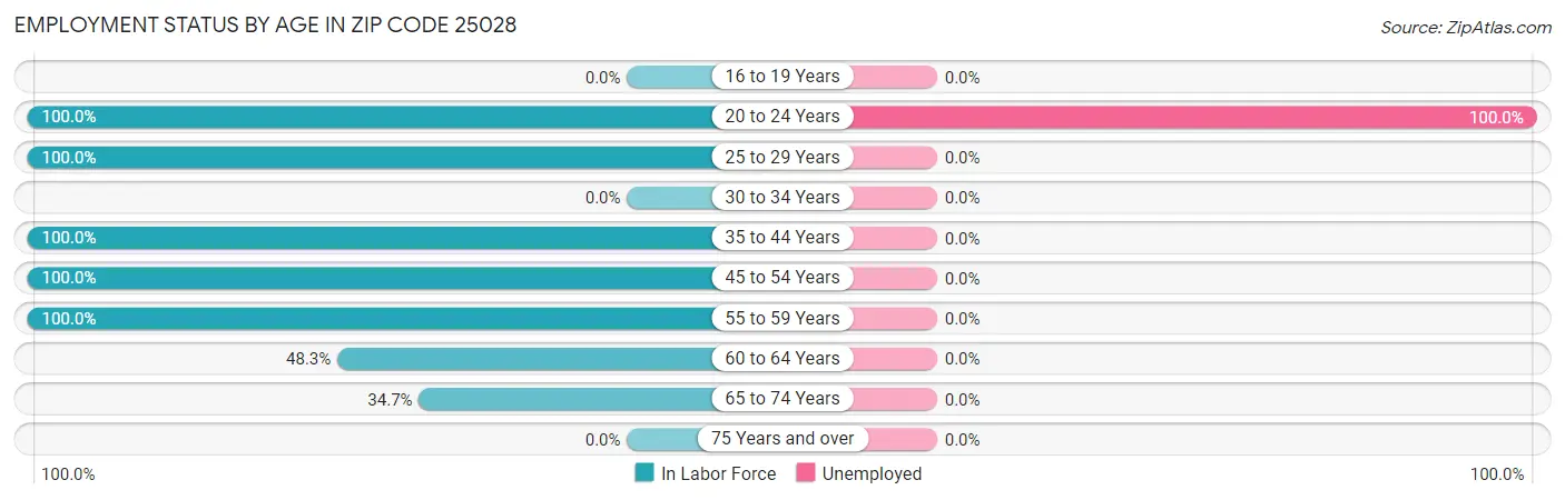 Employment Status by Age in Zip Code 25028