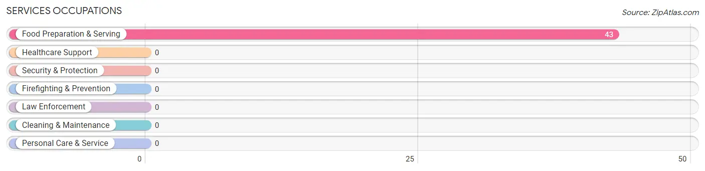 Services Occupations in Zip Code 25030