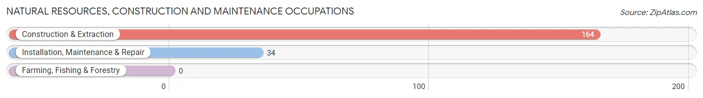 Natural Resources, Construction and Maintenance Occupations in Zip Code 25033