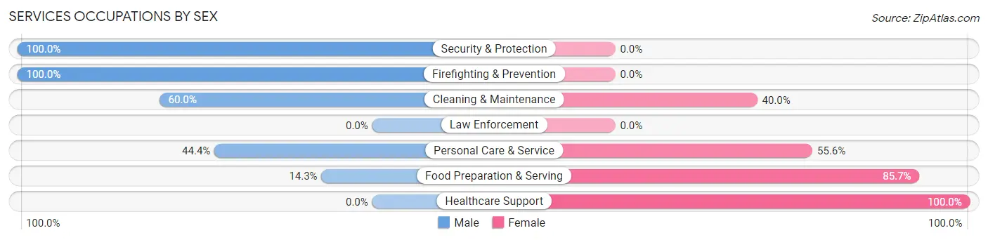 Services Occupations by Sex in Zip Code 25033