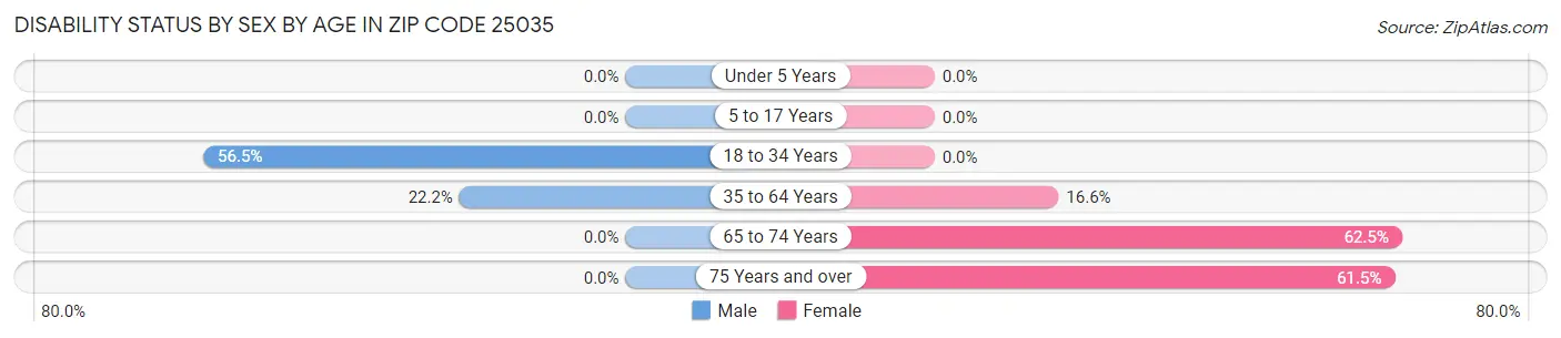 Disability Status by Sex by Age in Zip Code 25035