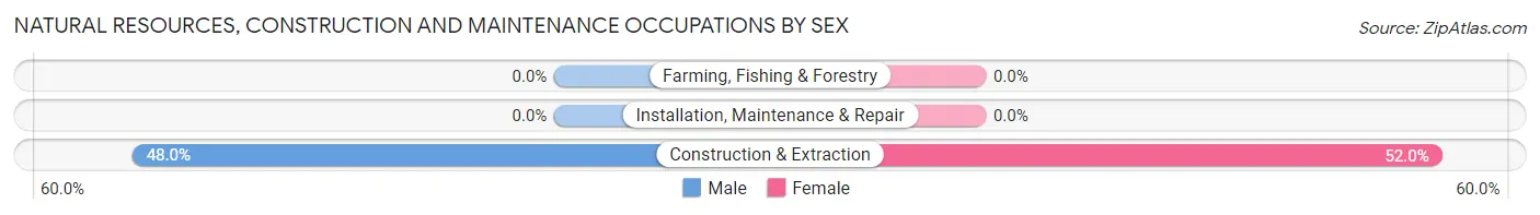 Natural Resources, Construction and Maintenance Occupations by Sex in Zip Code 25035