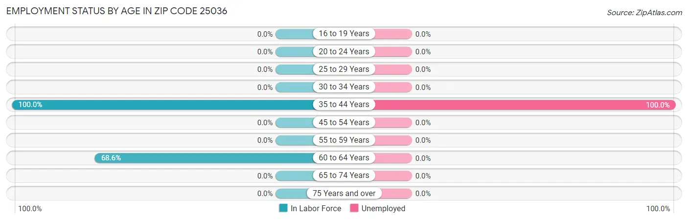 Employment Status by Age in Zip Code 25036