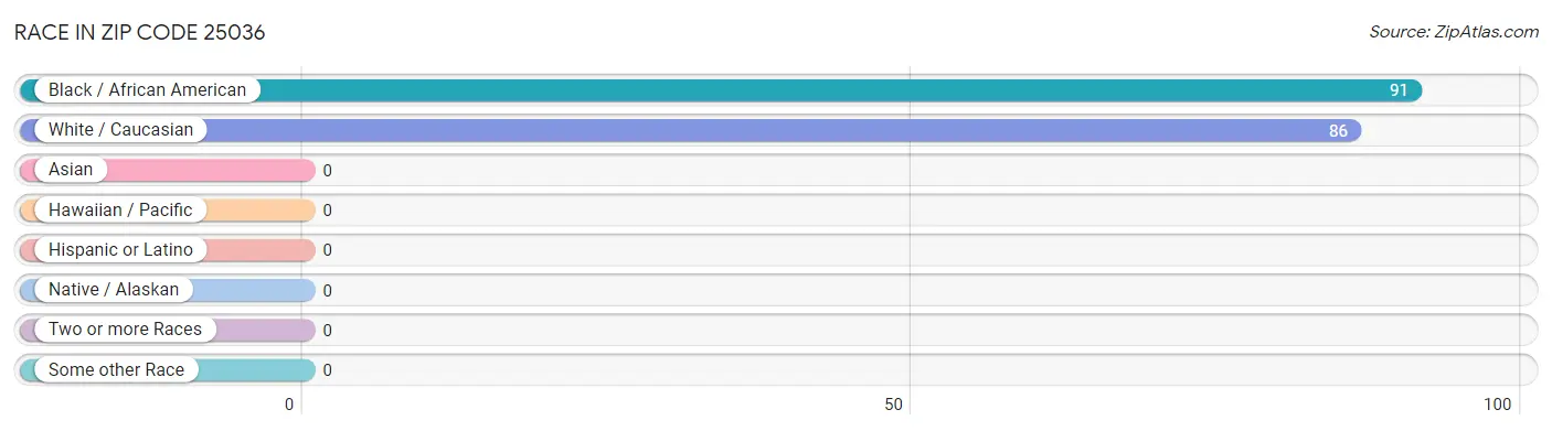 Race in Zip Code 25036