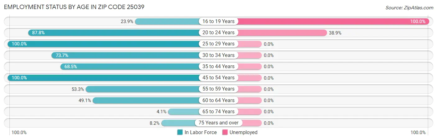 Employment Status by Age in Zip Code 25039