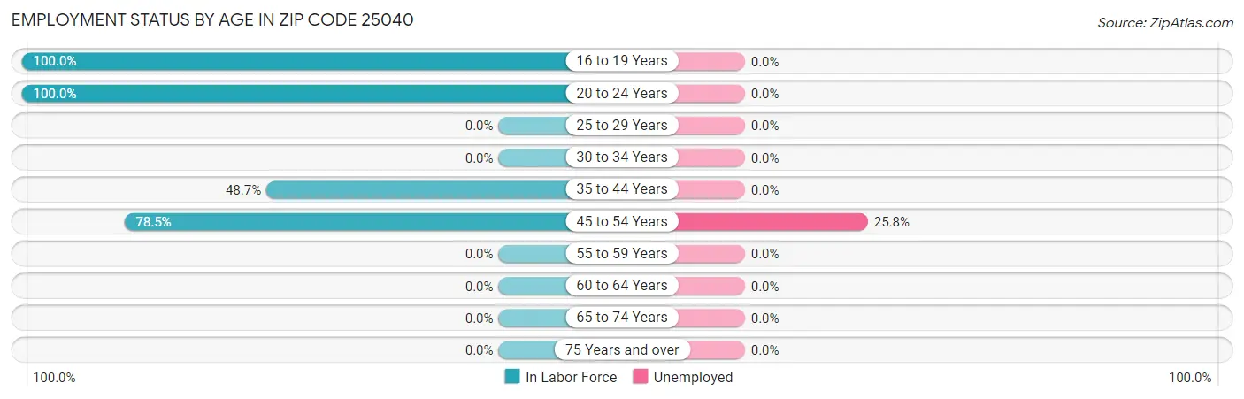 Employment Status by Age in Zip Code 25040