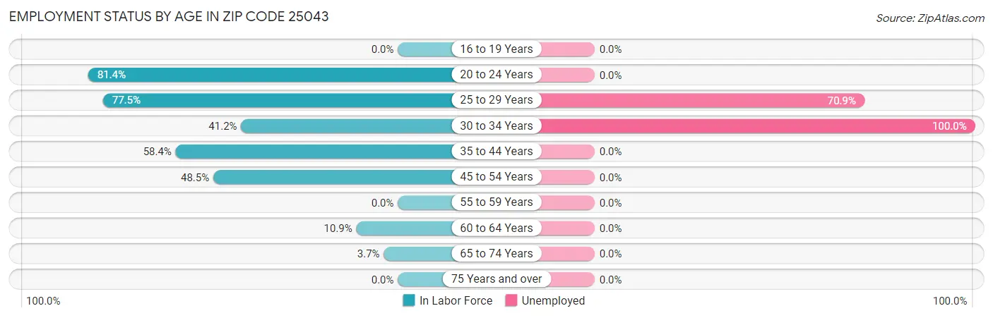 Employment Status by Age in Zip Code 25043