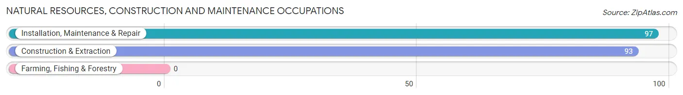 Natural Resources, Construction and Maintenance Occupations in Zip Code 25045