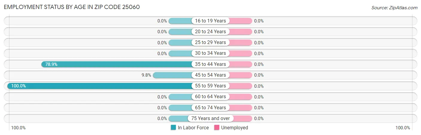 Employment Status by Age in Zip Code 25060
